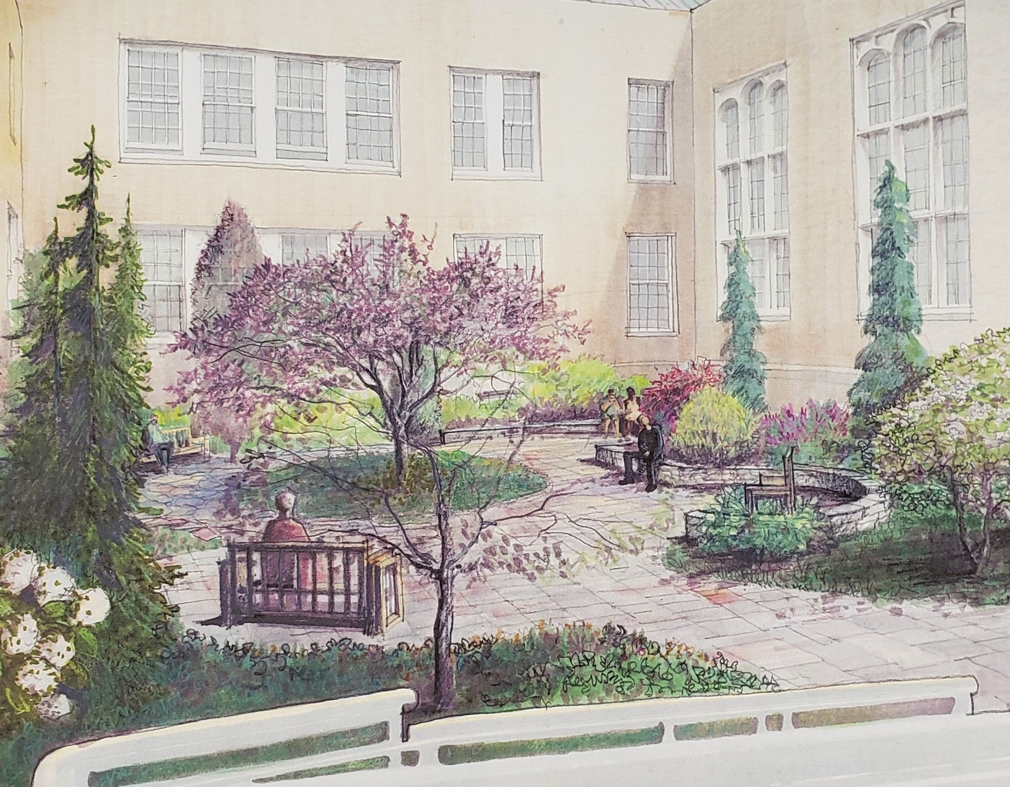 Hawkins Courtyard garden conceptual drawing