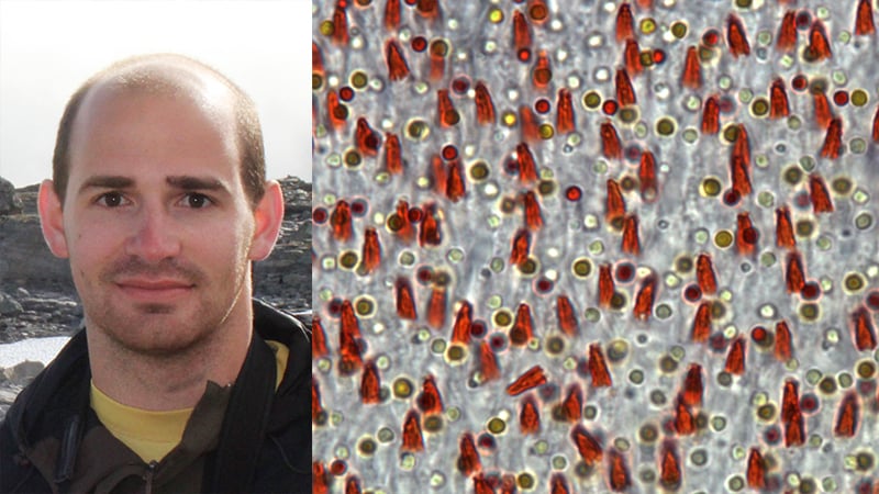 Portrait of Dr. Luke Tyrrell and an image of the flycatcher's retina