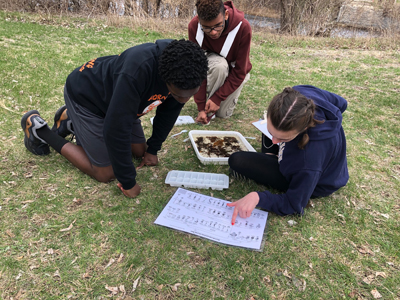 Young students identify invertabrates in a water sample