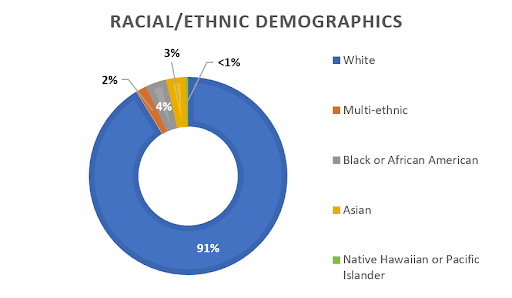 Pie chart illustrating racial/ethic demographics of employees in 2024, explained in table.