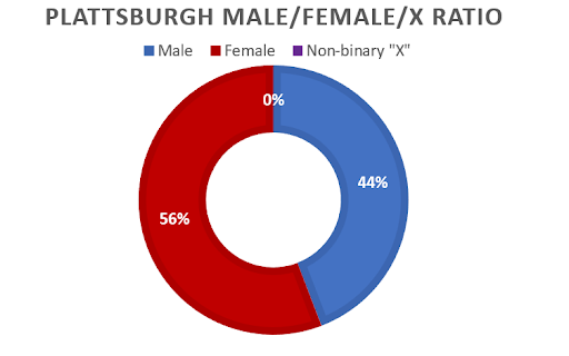 Pie chart showing 56% female to 44% male employee makeup