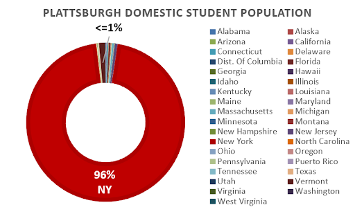 Circle chart showing student population with NY making 96% of graph.