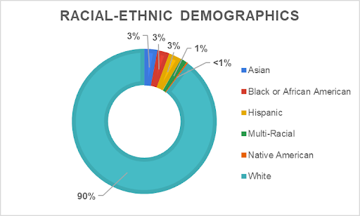Racial/ethnic makeup of employees at SUNY Plattsburgh, explained in text