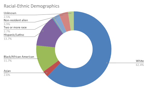 Circle chart showing undergraduate racial/ethnic diversity, explained in text