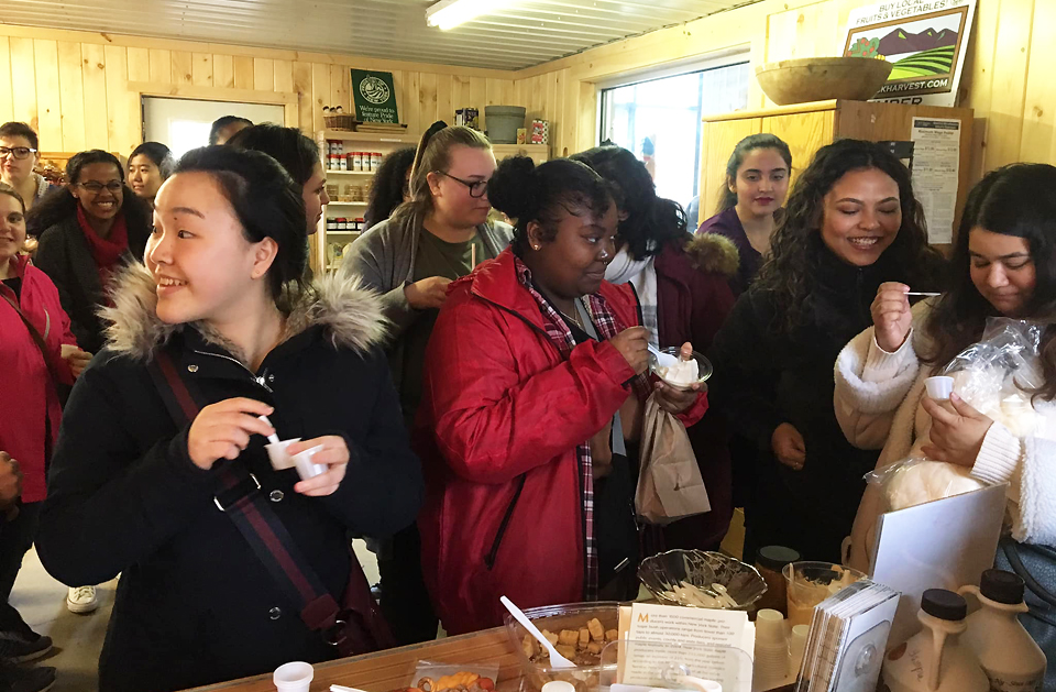 PICL Peers having a meal off-campus