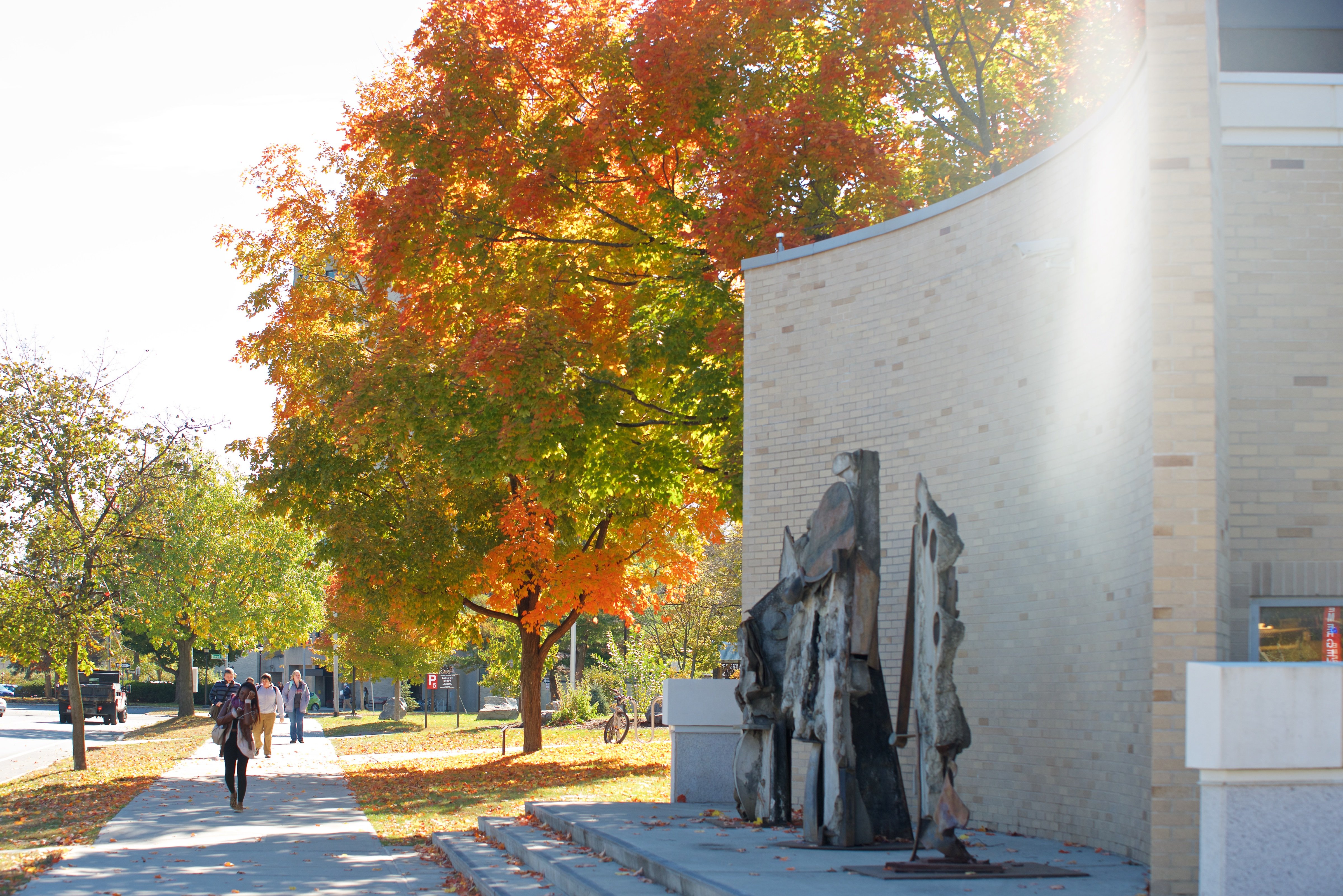 Fall Foliage on Campus