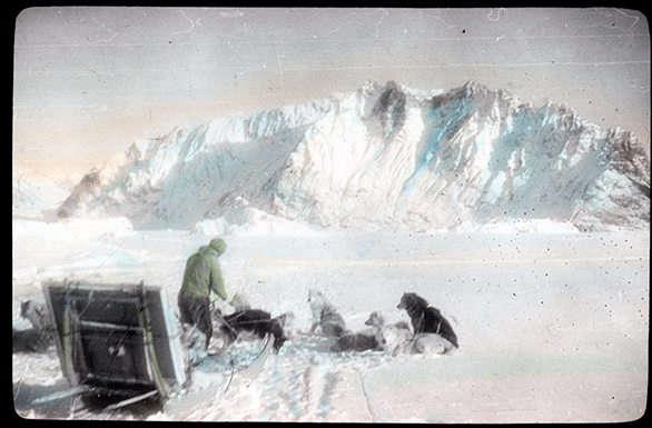 Man in arctic with dogs and sled