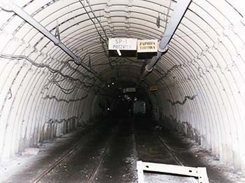 Photograph of a dark, dank tunnel likely used by miners.