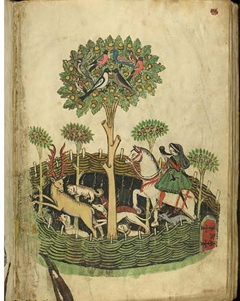 Miniature manuscript illustration entitled "Stag hunt", shows a person on a horse and hunting dogs in a fenced area chasing a large deer.