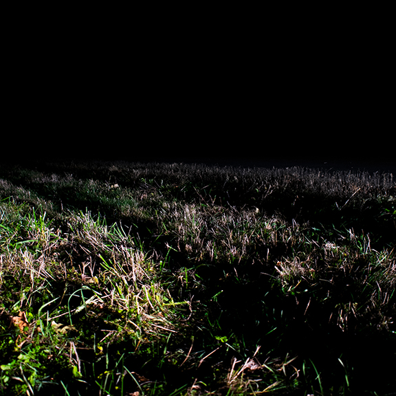 A grassy field at night.