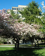 Photo of dorm building with grass and trees. Click on the image to see full resolution photo.