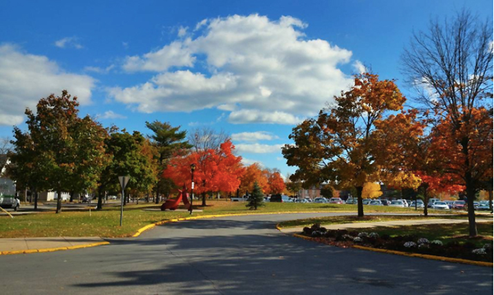 Photo of campus during fall by eunyoung94