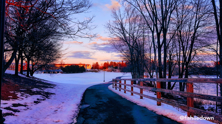 Photo of Saranac River Trail near campus by fishiiedown