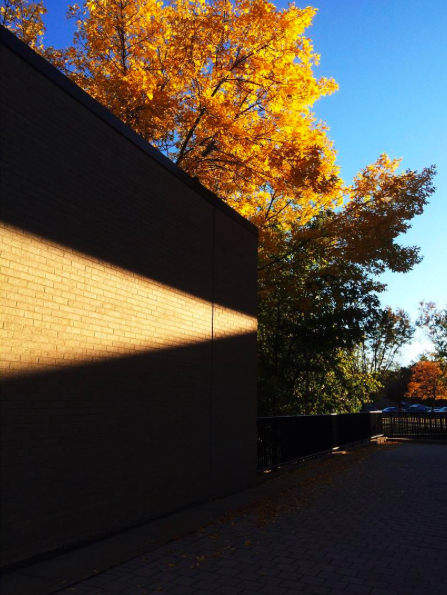 Photo of fall on campus by thefreshprincessofplattsburgh