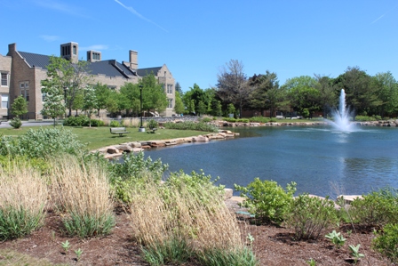 Dean Ortiz-Walters to Lead St. Mary's University Business School