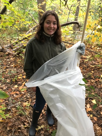 cleanup volunteer