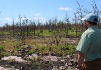 Flat Rock Fire Workshop to Look at Jack Pine Forest Fire, Management in its Aftermath