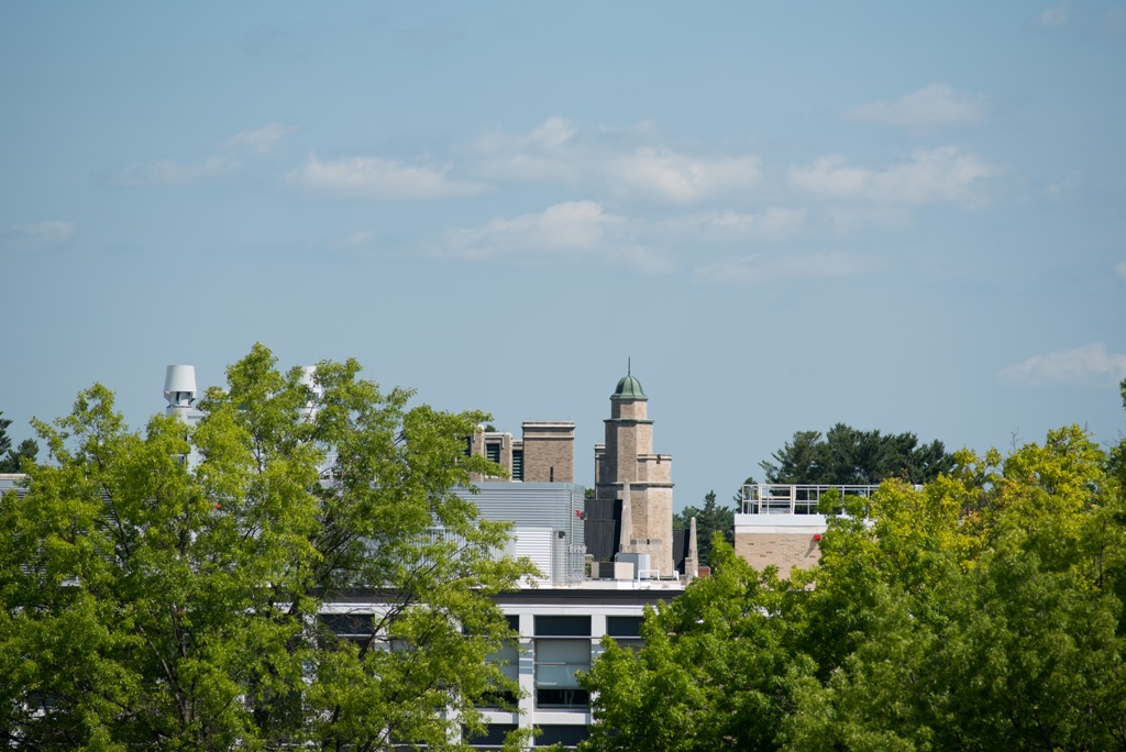 treetops over hudson