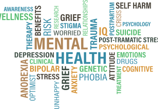 24/7 Mental Health Resources Available to Students Online, By Phone
