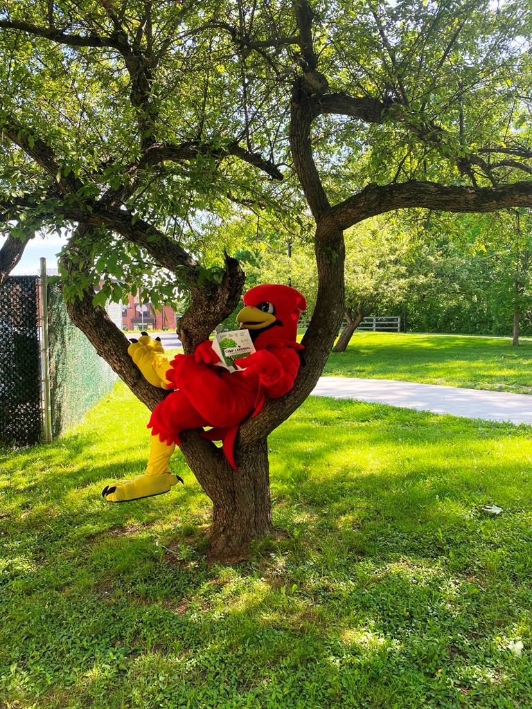 burghy reads in tree