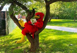 Camp Cardinal Brings the Fun of Summer Safari Back to Campus
