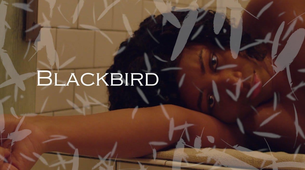project blackbird
