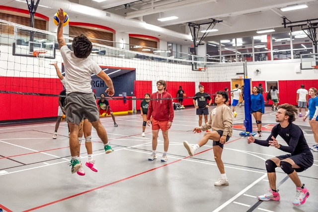 volleyball