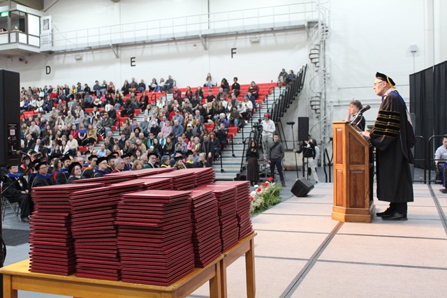 enyedi and diploma covers