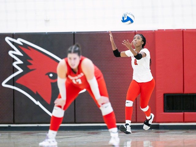 file vollyball