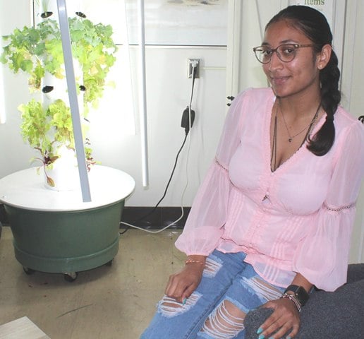 nidhi patel and tower garden