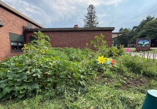 Gifting Garden Connects Students, Advocacy Agency for Developmentally Disabled